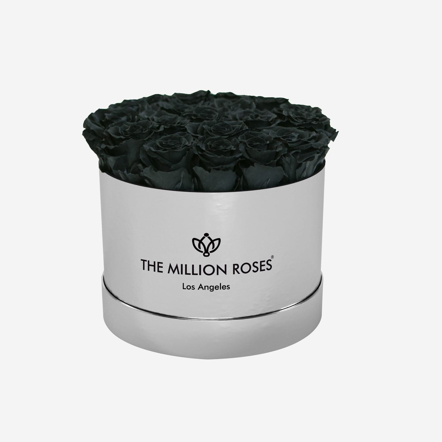Espejo clásico, caja plateada | Rosas negras