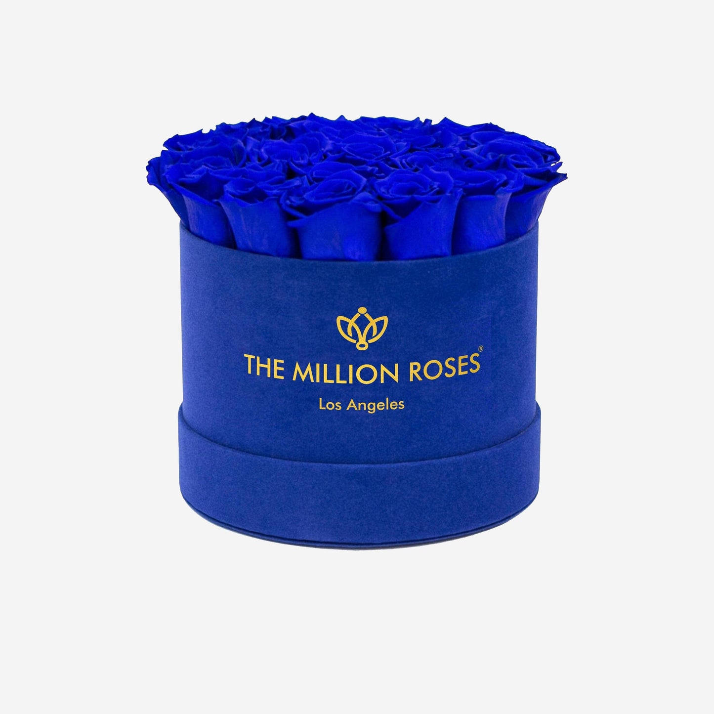 Caja Clásica de Terciopelo Azul Rey | Rosas Azules Reales