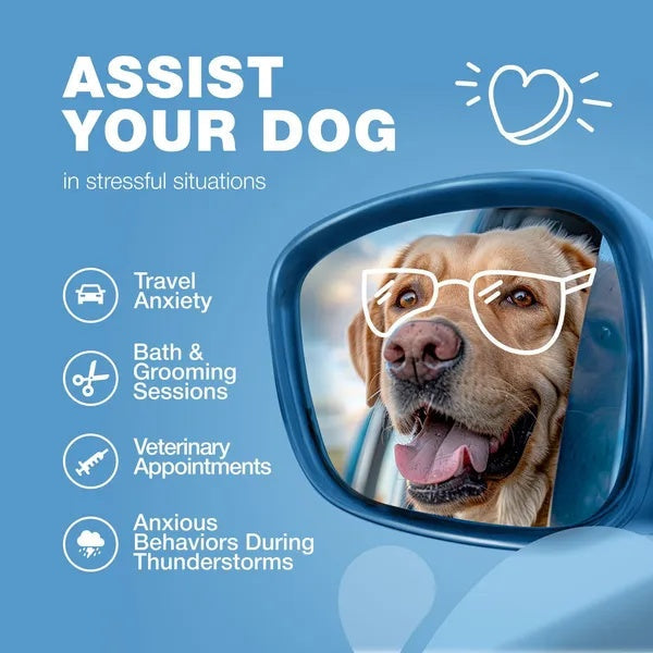 Calming Chews For Dogs Duck Flavor Canine Supplement For All Breeds And Sizes