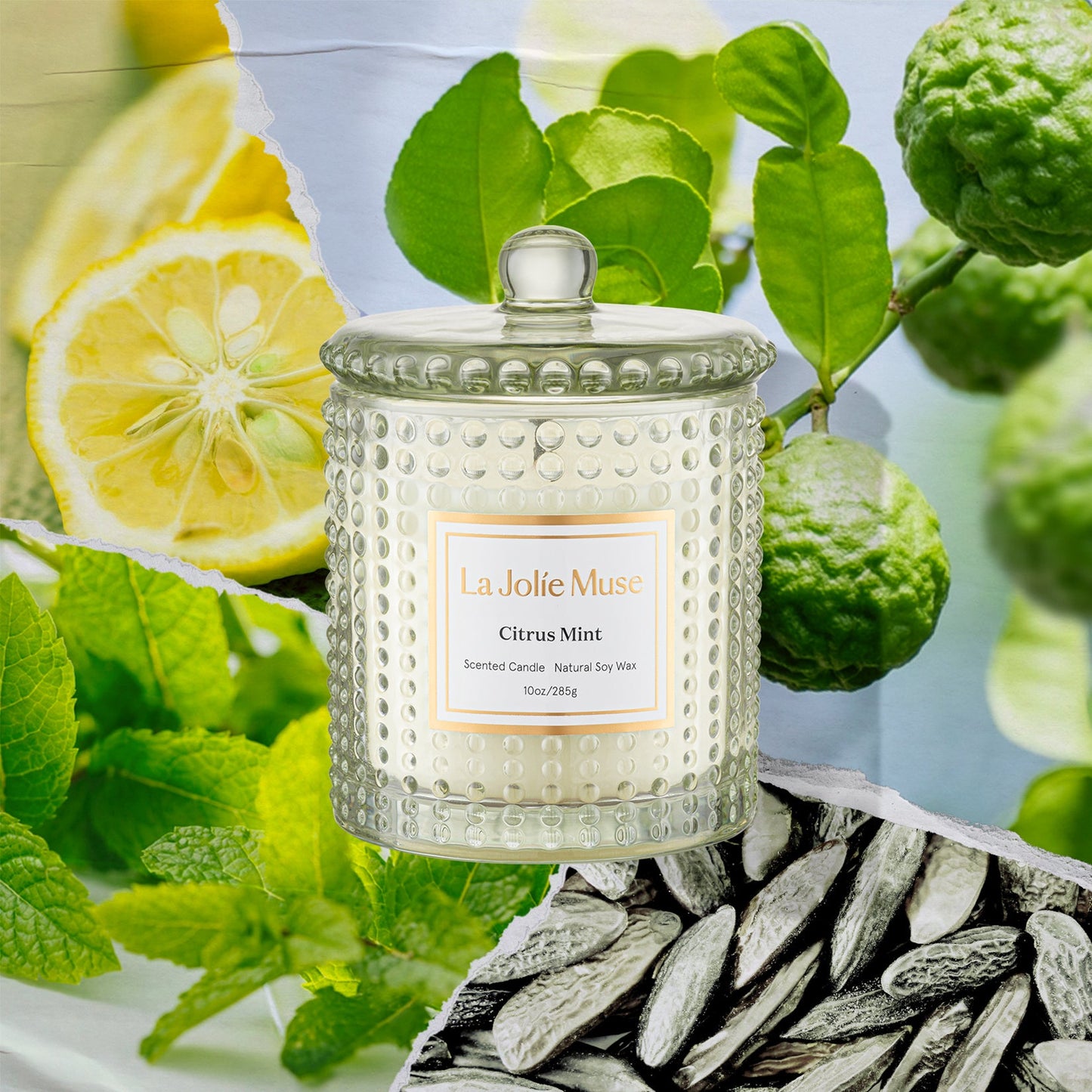 Marvella -  Citrus Mint 10oz Candle