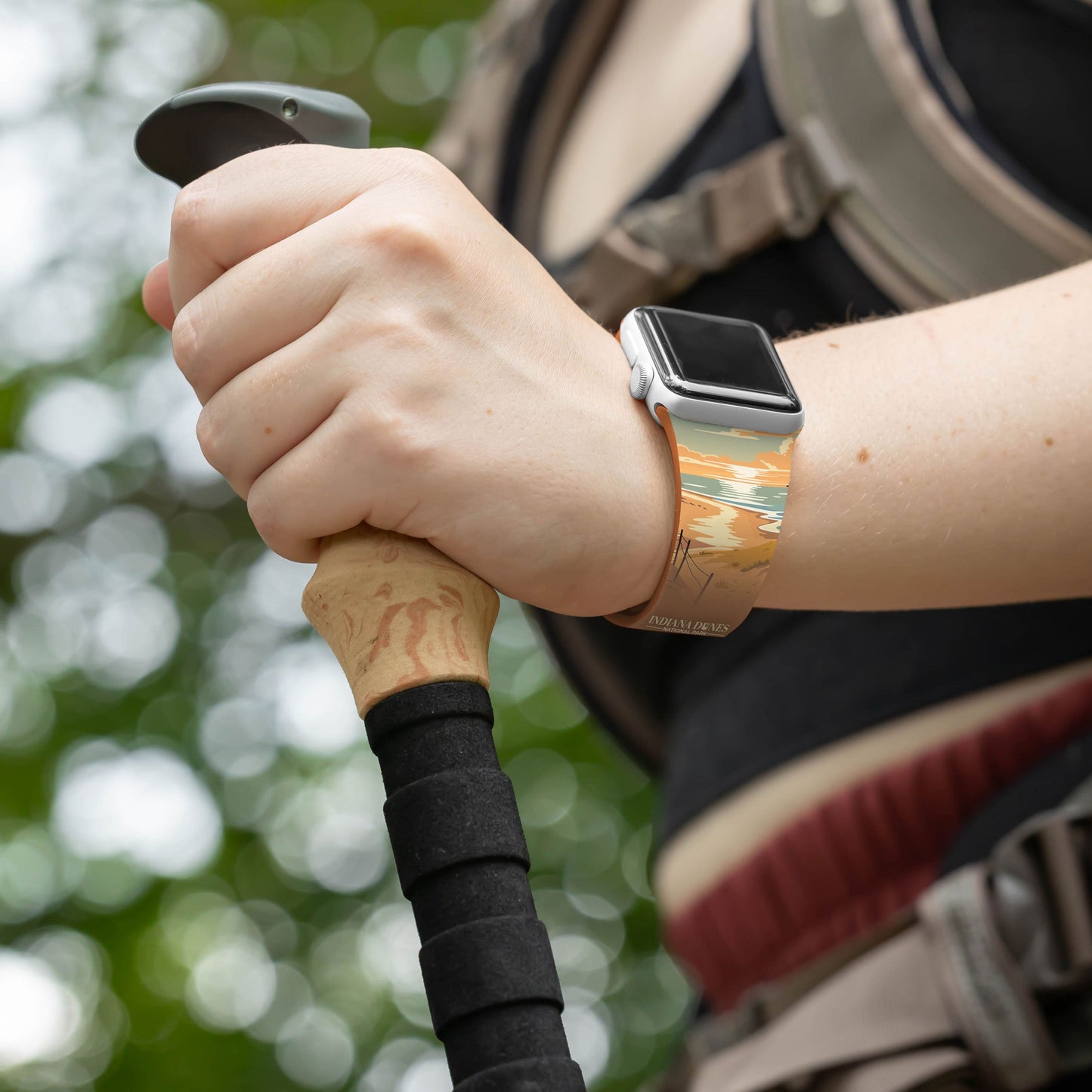 National Parks Indiana Dunes HD Apple Watch Band
