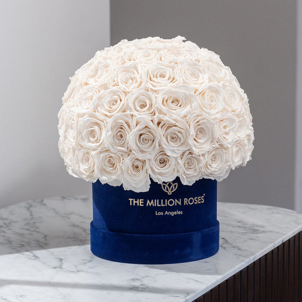 Caja Superdome de gamuza azul real clásico | Rosas blancas