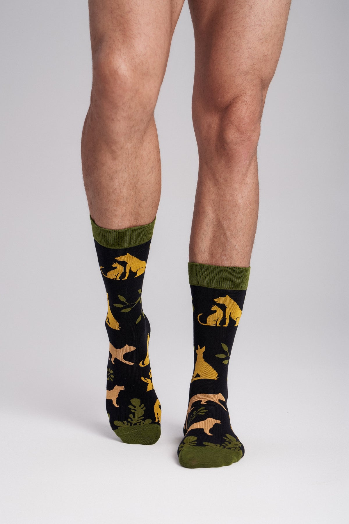 Collectible Art Crew Socks – Animal Rescue & Welfare