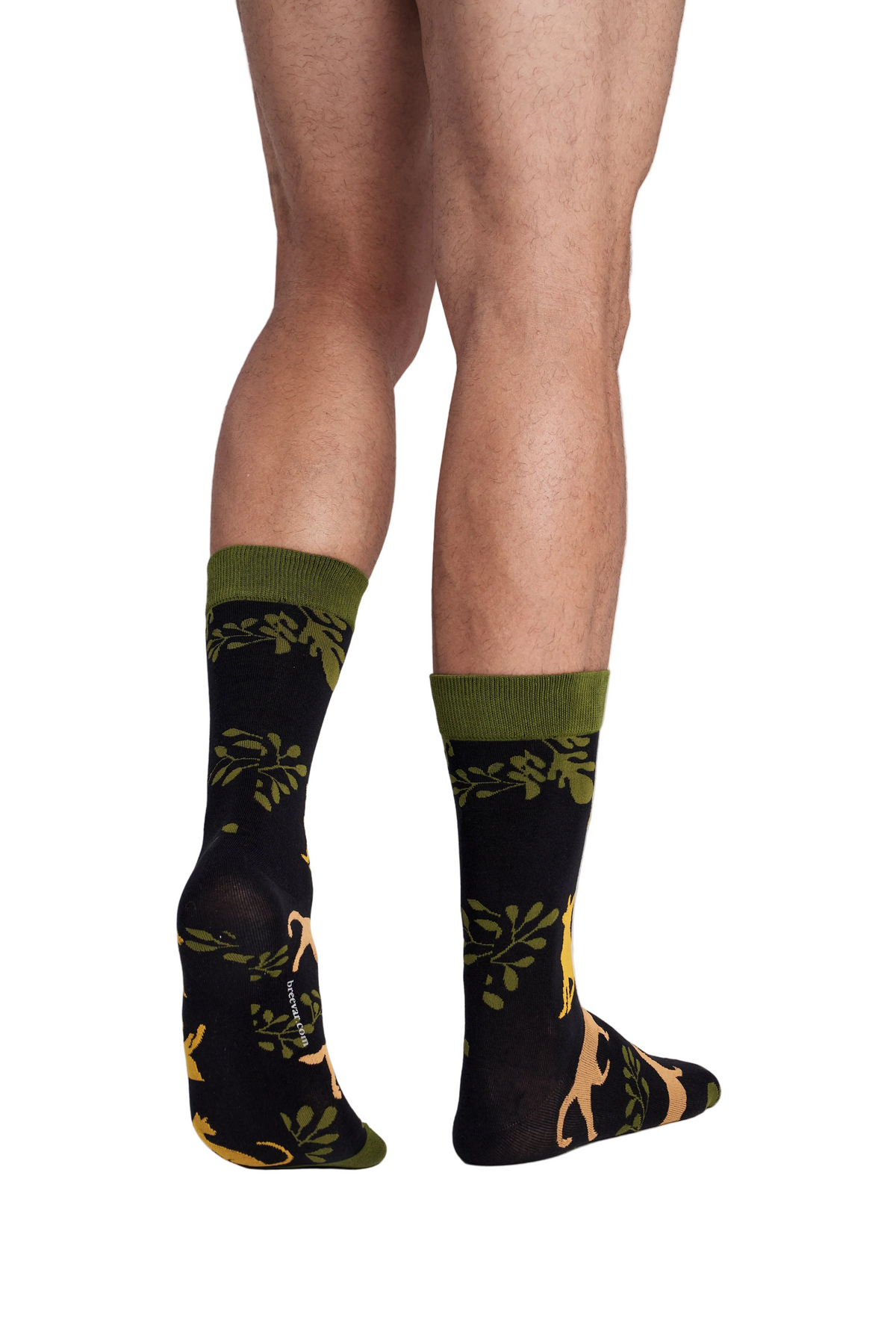 3-Pack Collectible Art Crew Socks – Animal Rescue & Welfare