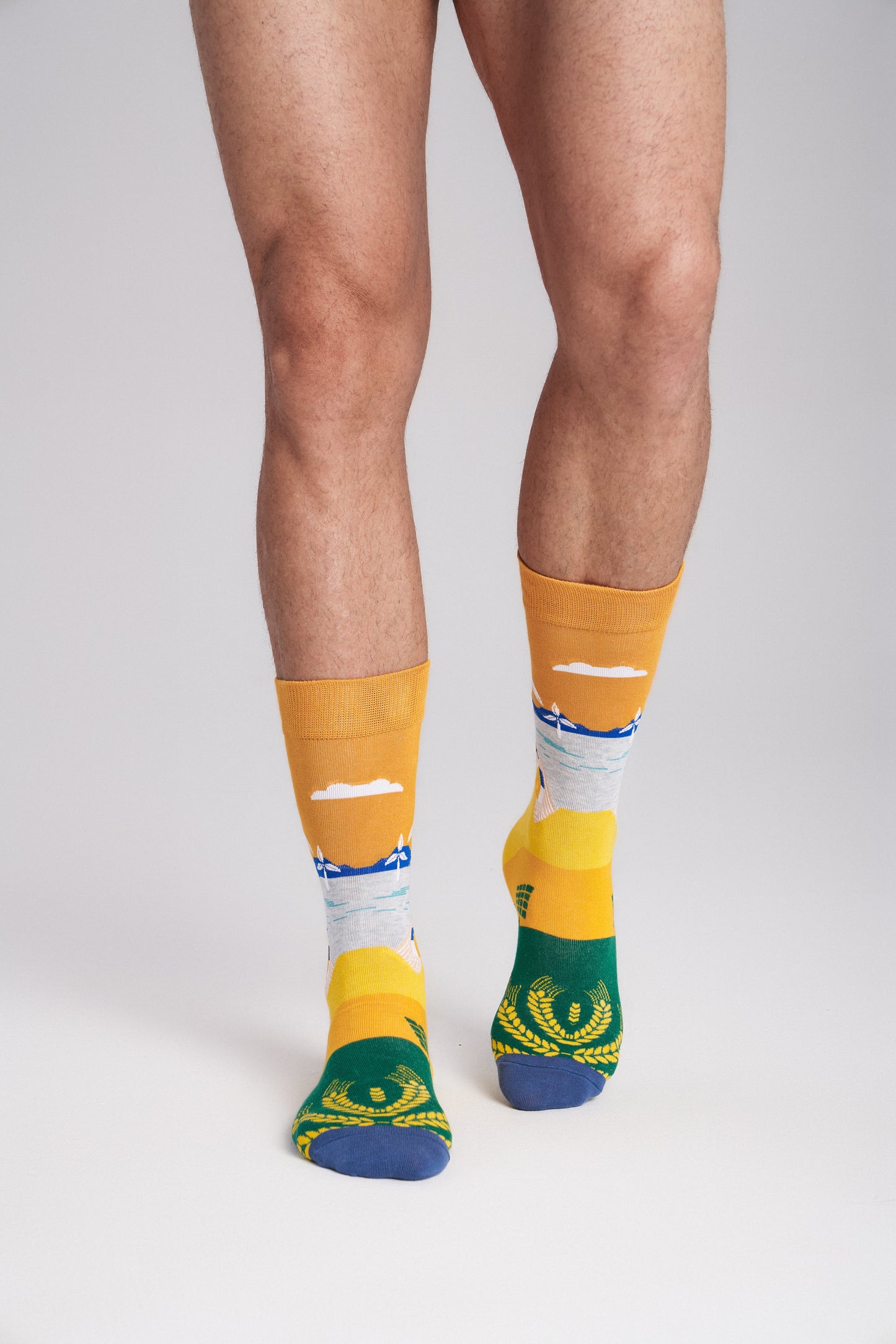 Collectible Art Crew Socks – Clean Energy & Climate Action