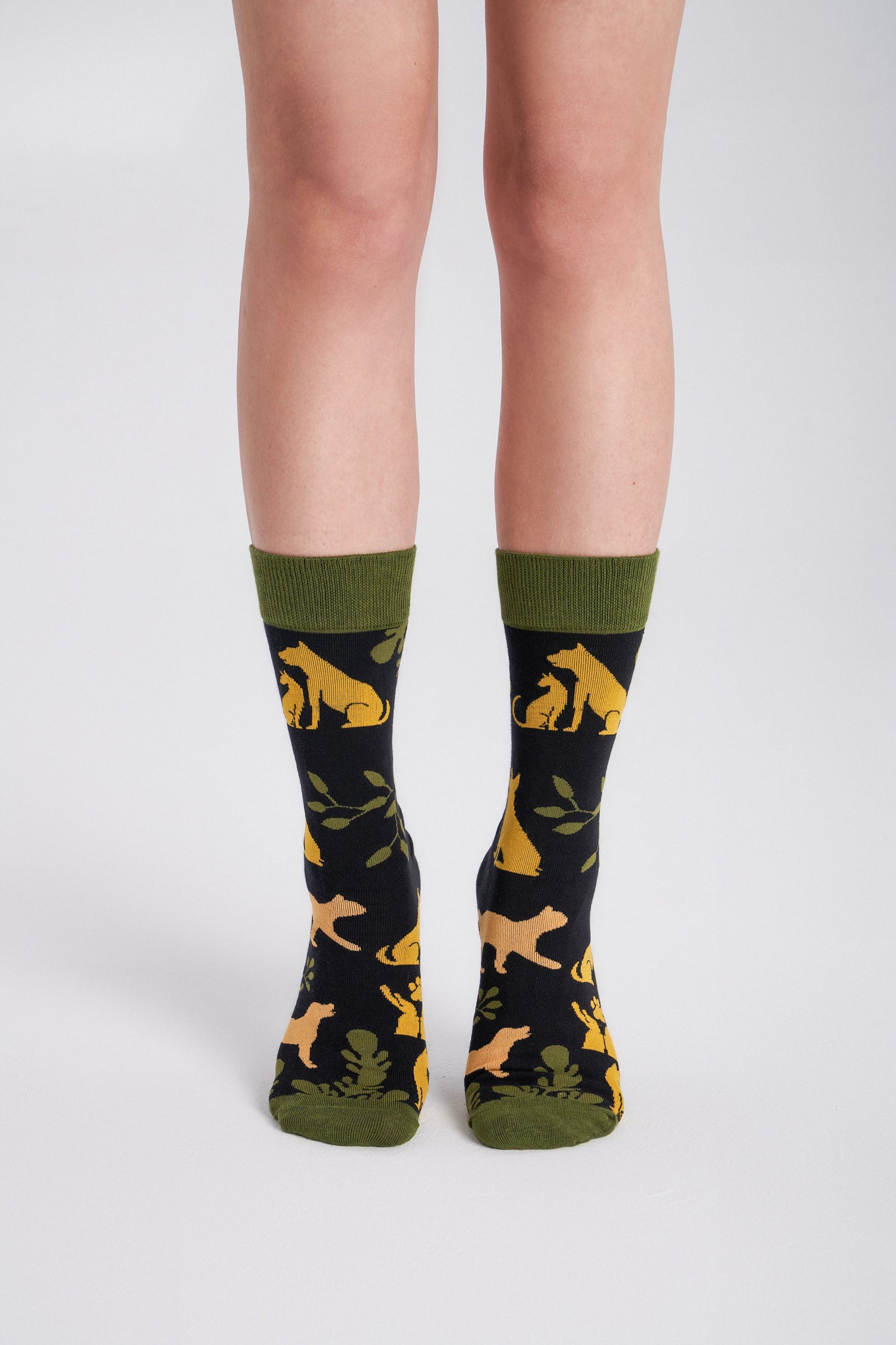 6-Pack Collectible Art Crew Socks – Animal Rescue & Welfare