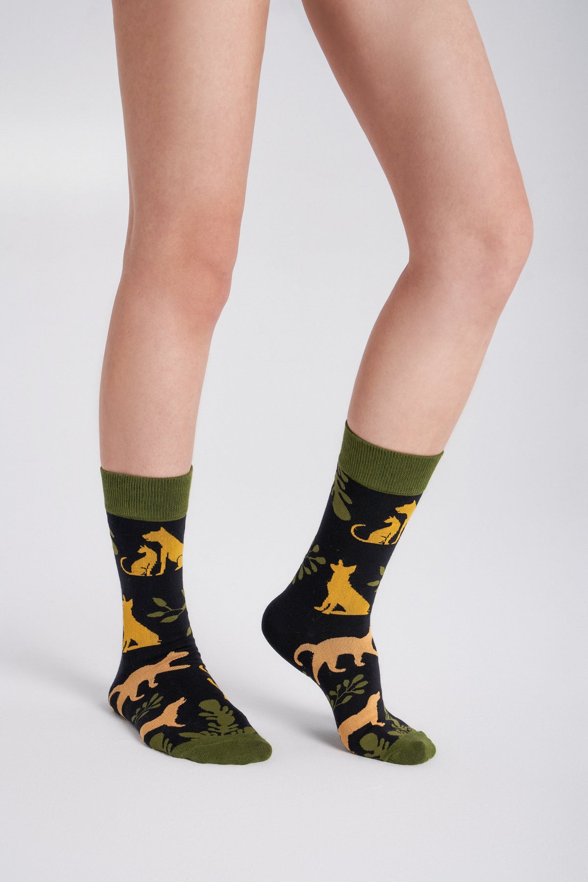 6-Pack Collectible Art Crew Socks – Animal Rescue & Welfare