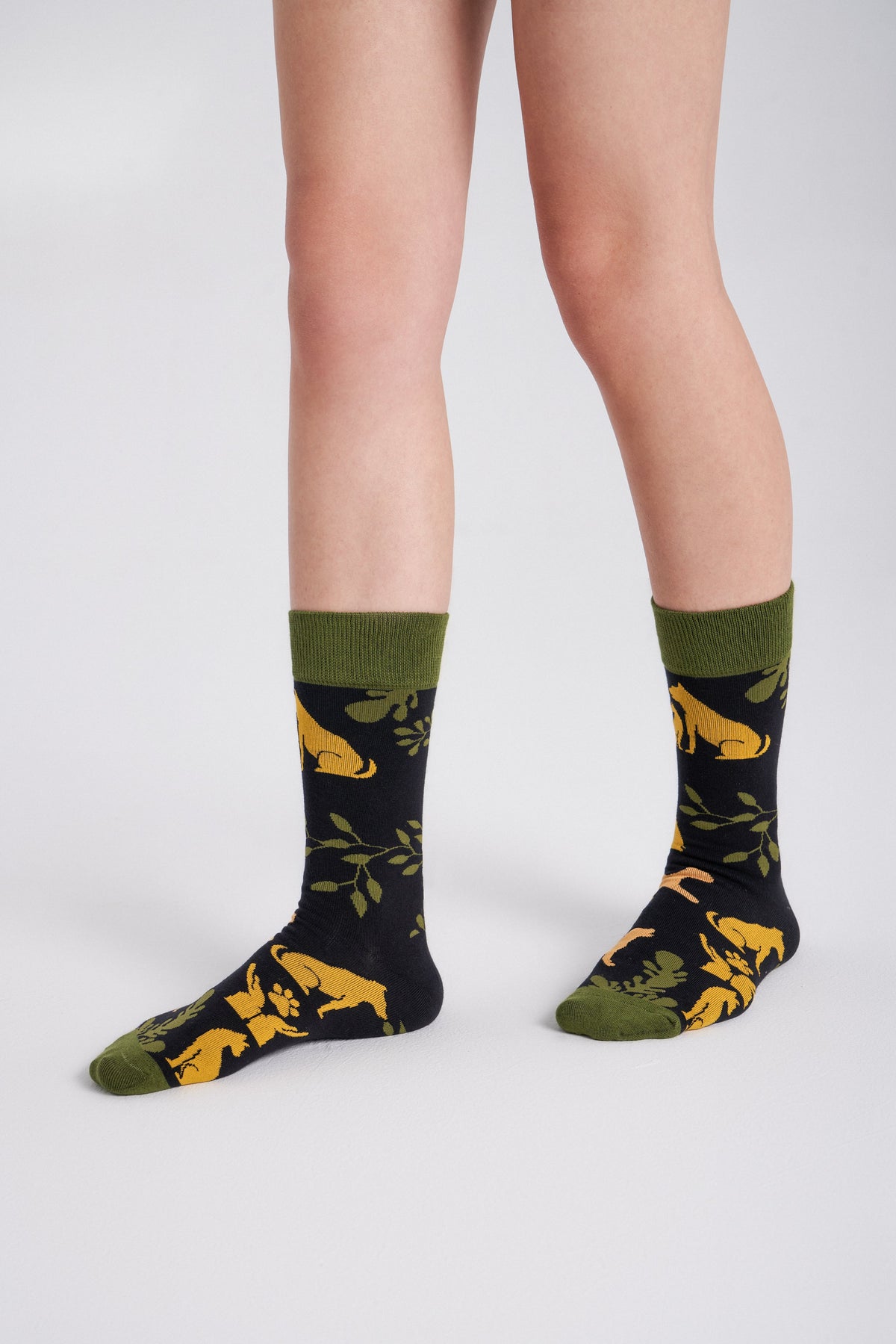 6-Pack Collectible Art Crew Socks – Animal Rescue & Welfare