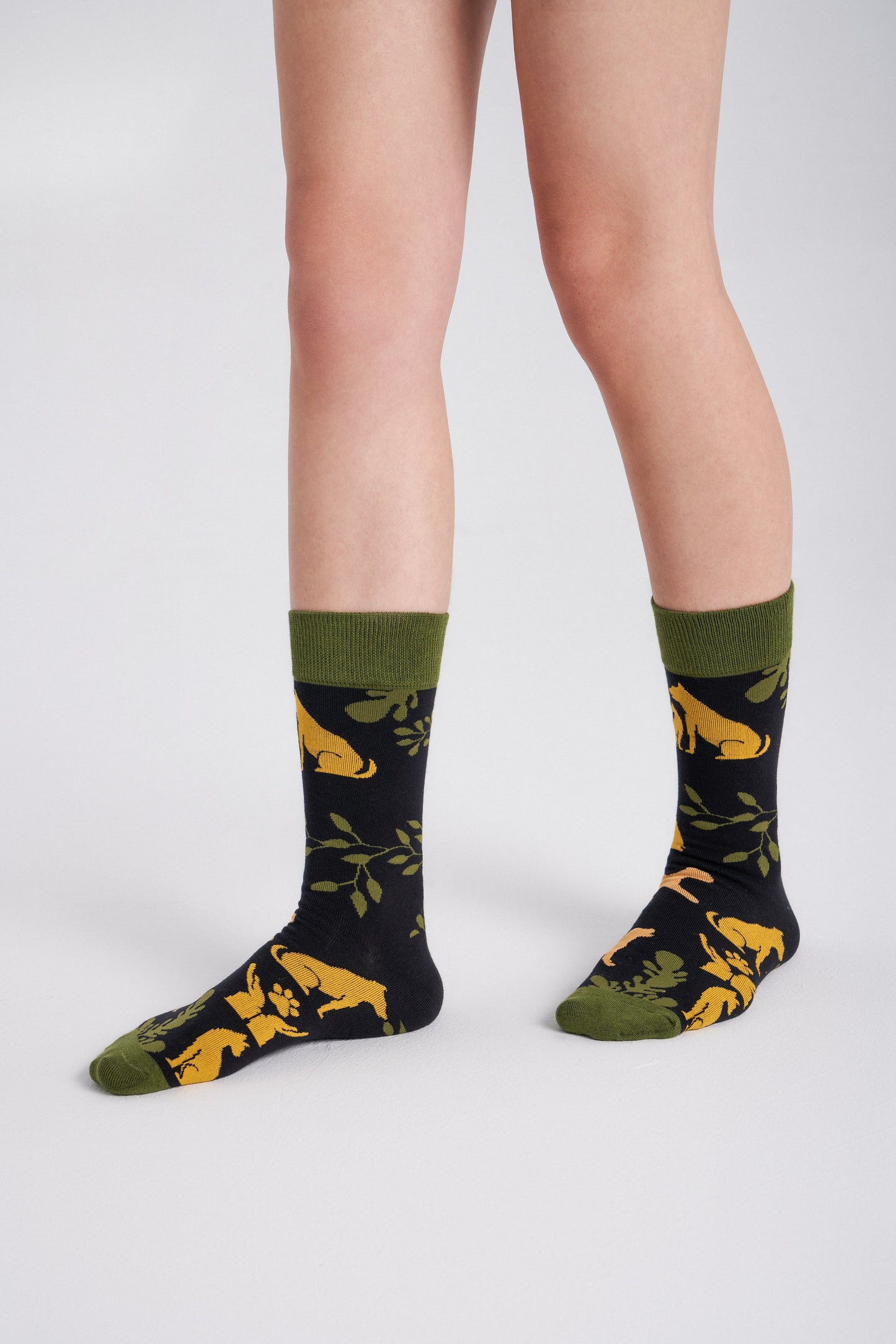 3-Pack Collectible Art Crew Socks – Animal Rescue & Welfare