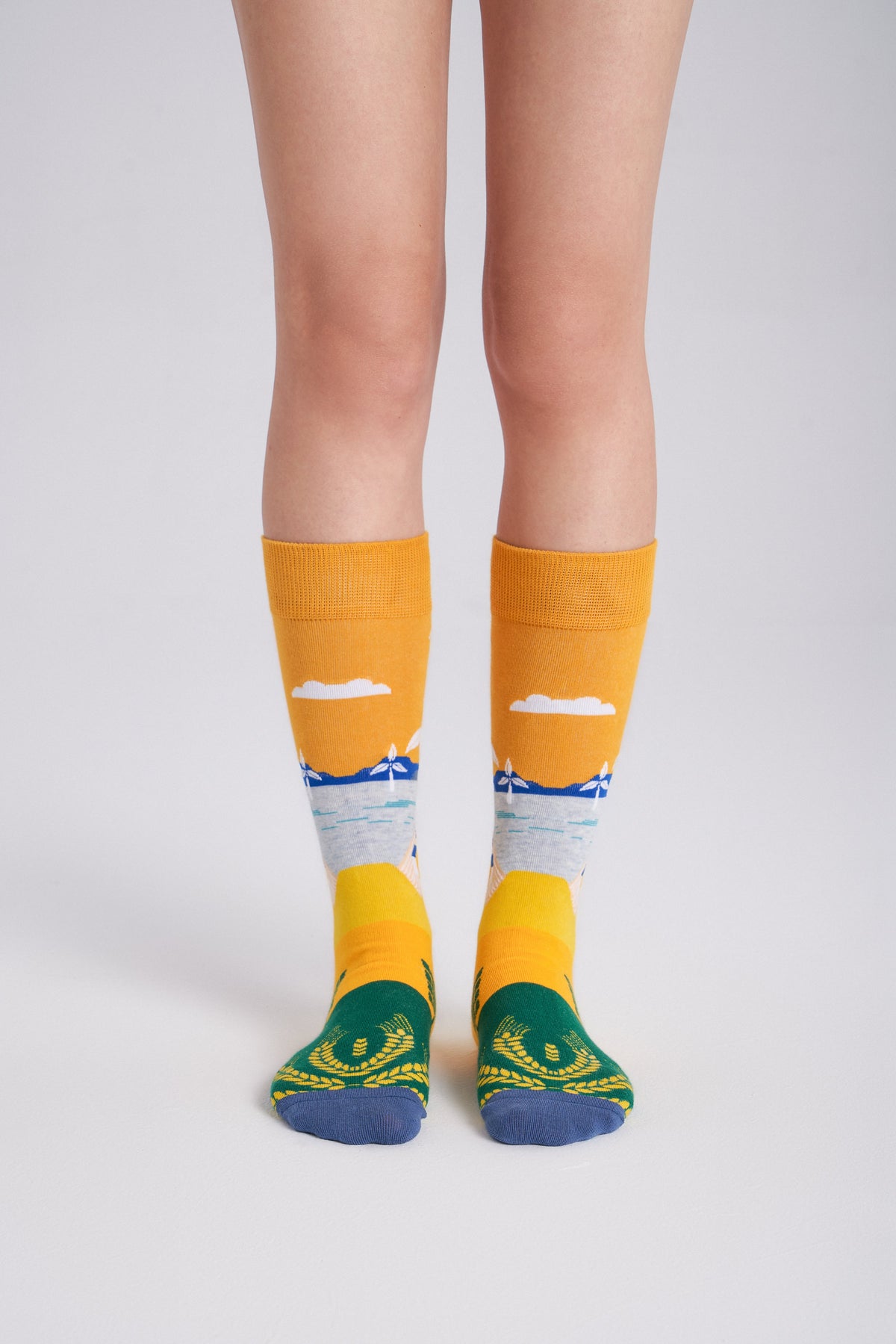 6-Pack Collectible Art Crew Socks – Clean Energy & Climate Action