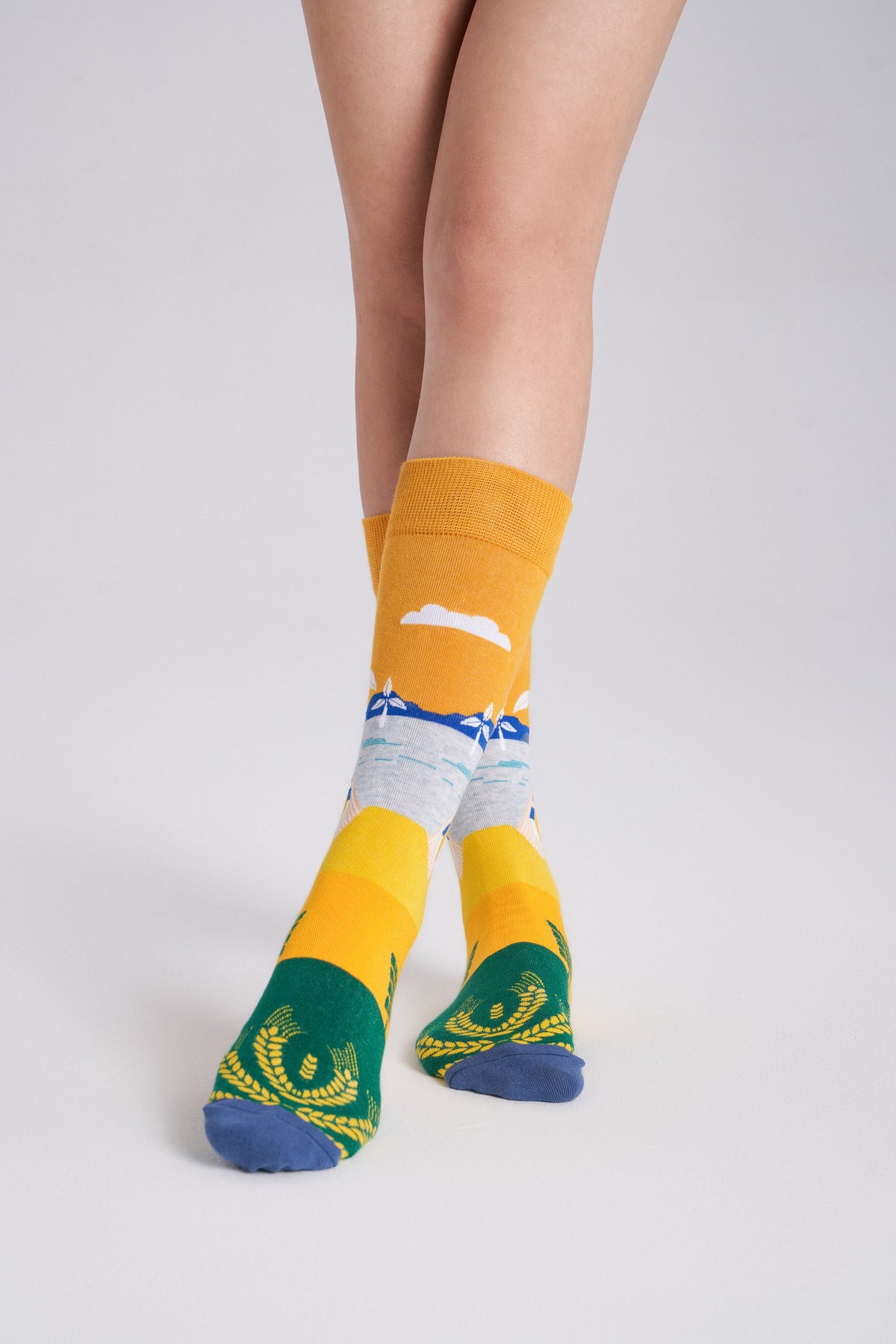 6-Pack Collectible Art Crew Socks – Clean Energy & Climate Action