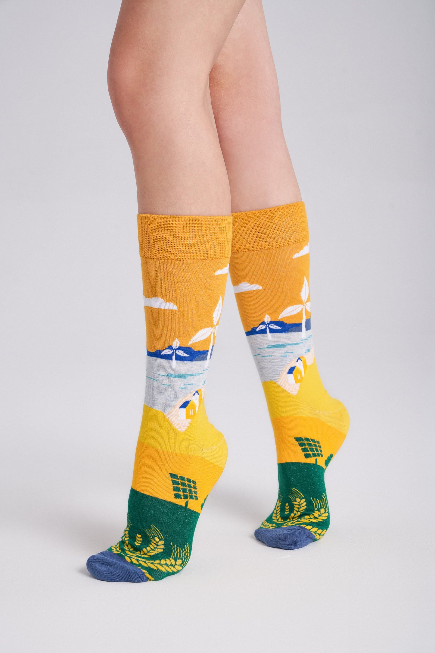 6-Pack Collectible Art Crew Socks – Clean Energy & Climate Action