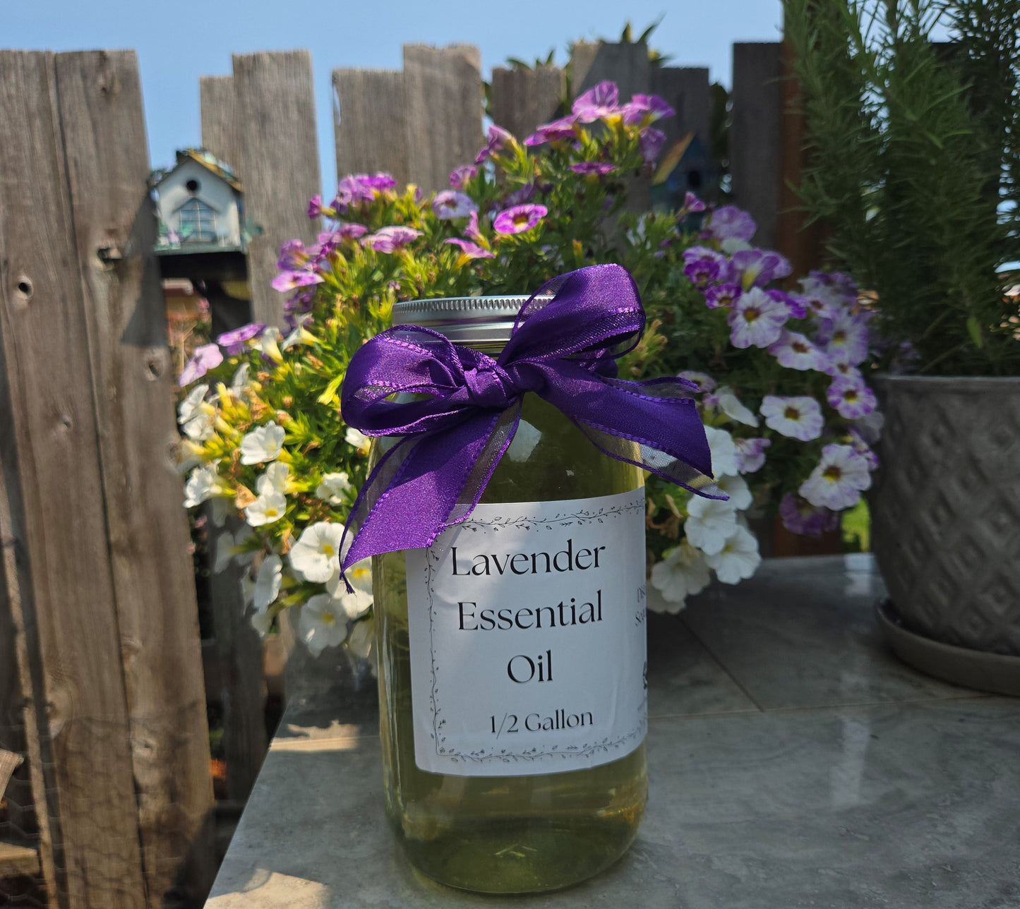 Aceite Esencial de Lavanda – 1/2 galón, de origen local en WA