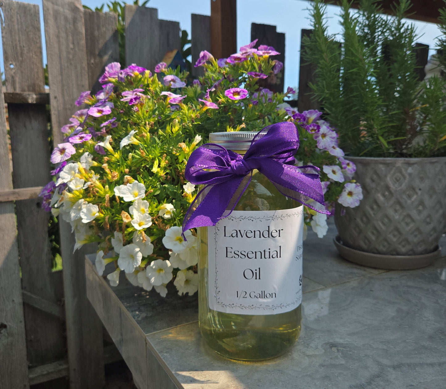 Aceite Esencial de Lavanda – 1/2 galón, de origen local en WA