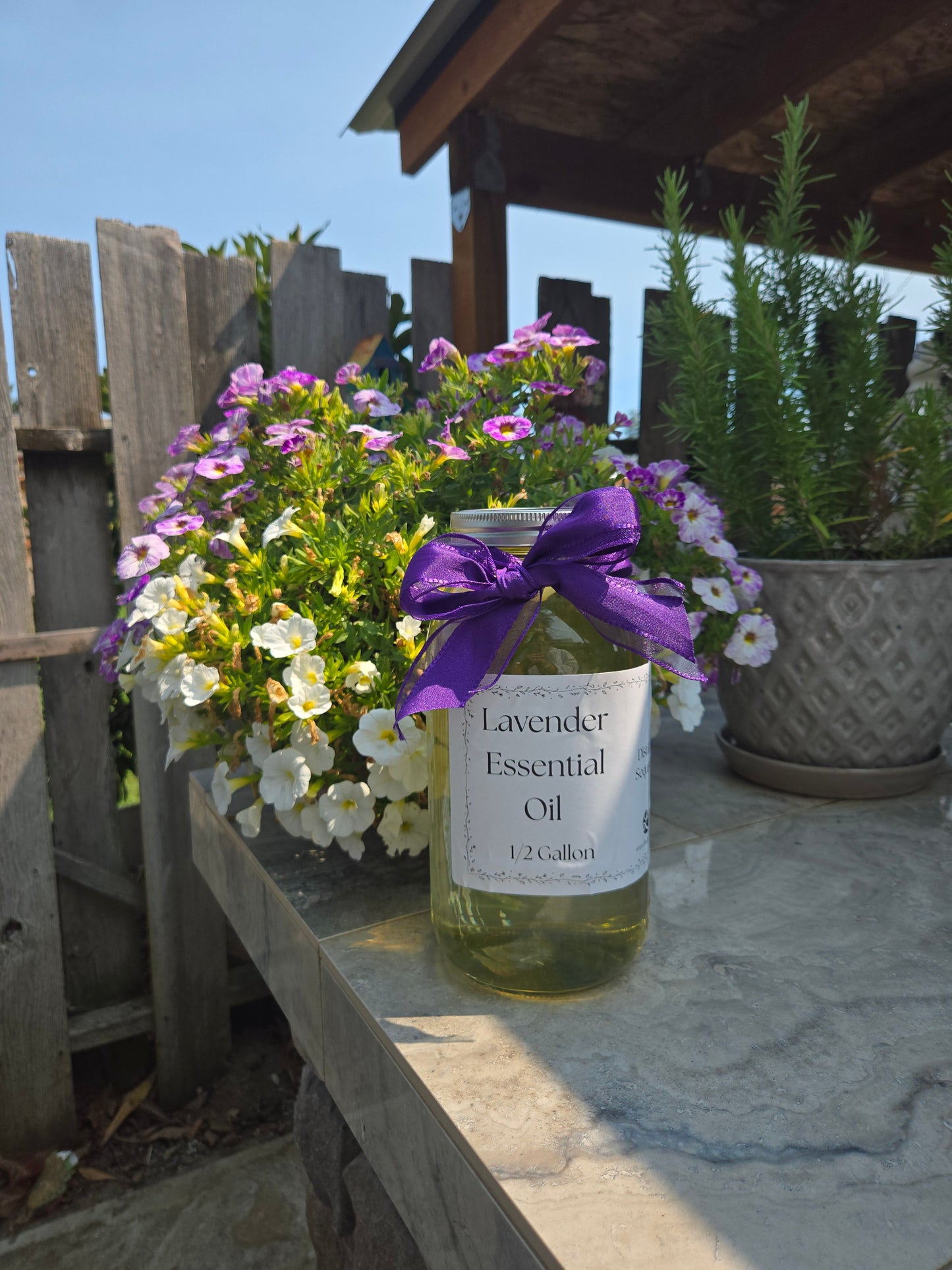 Aceite Esencial de Lavanda – 1/2 galón, de origen local en WA