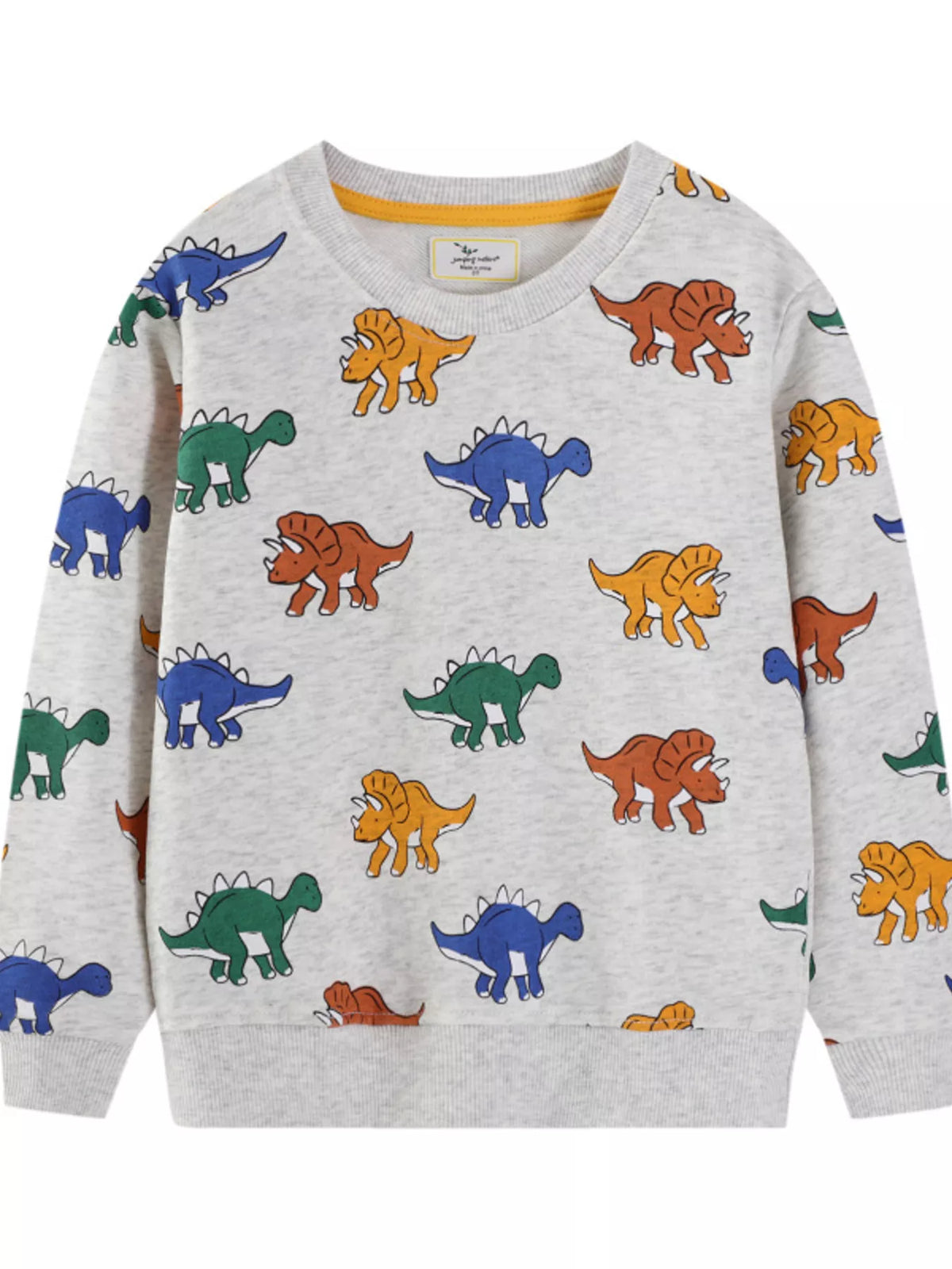 Children's Dinosaur Print Crew Neck Sweatshirt