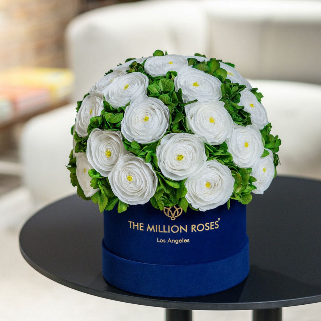 Caja Clásica de Gamuza Azul Rey | Ranúnculos Persas Blancos y Hortensias Verdes