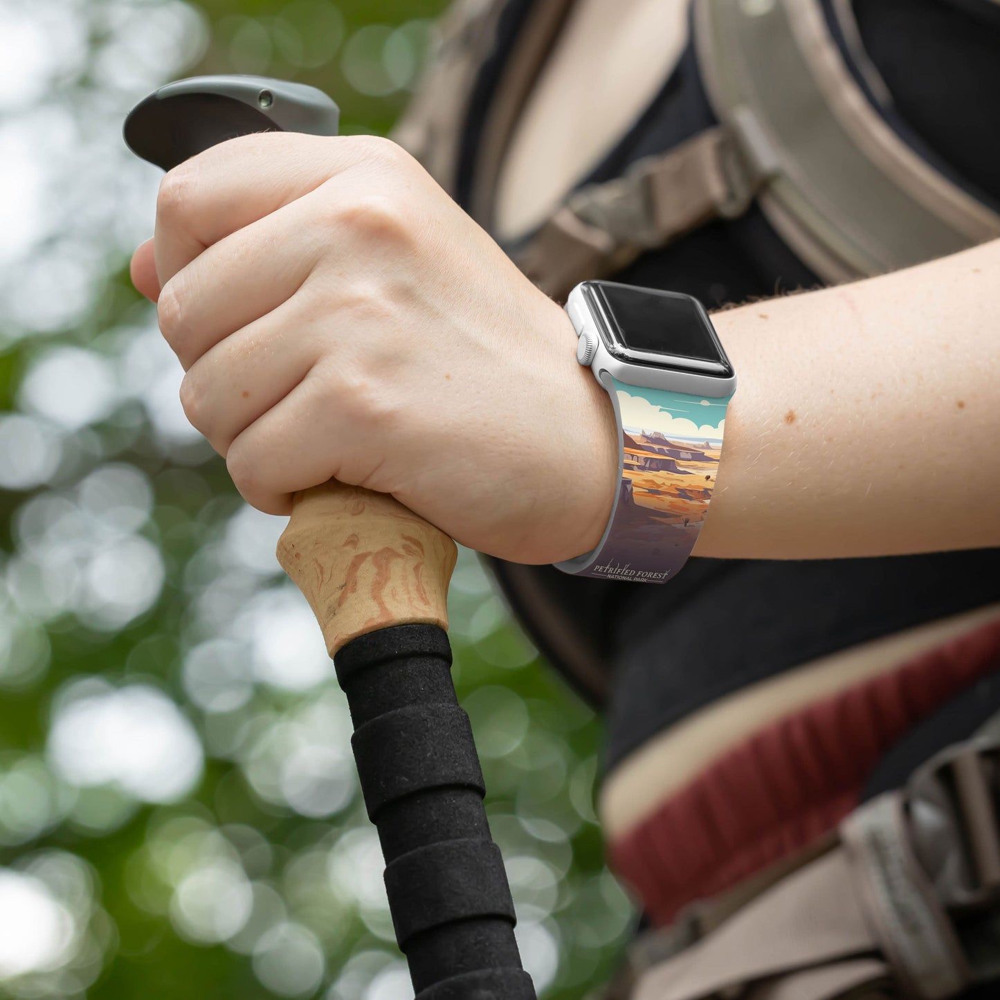 National Parks Petrified Forest HD Apple Watch Band