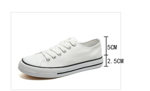 Female Canvas Shoes