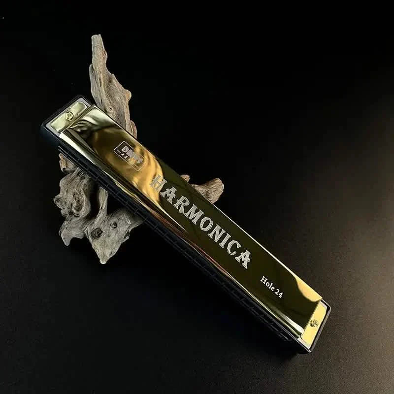 24 Hole Harmonica Mouth Metal Organ