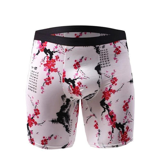 Men's Assorted Print Underwear