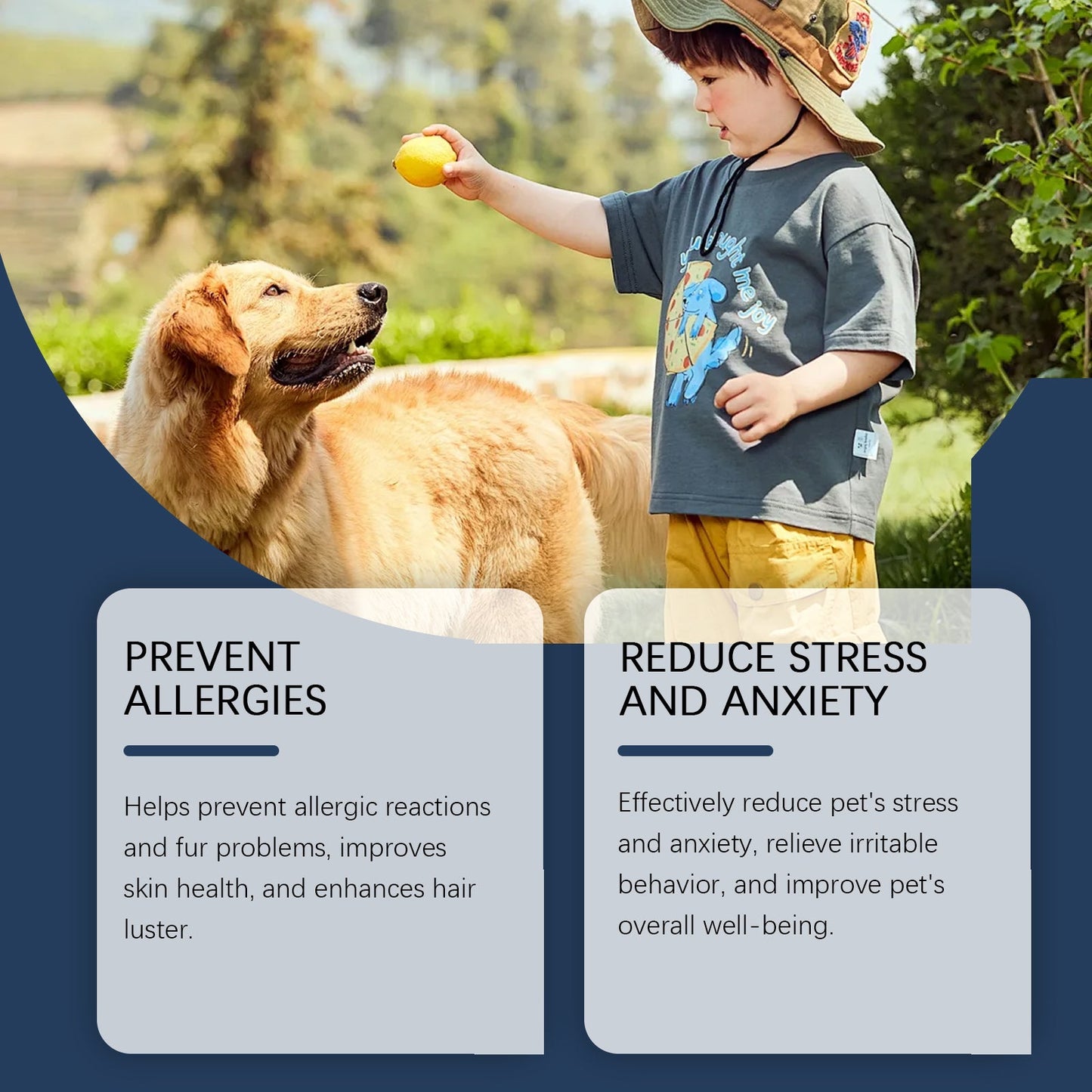 Suplemento Alimenticio para Perros, Suplemento Dietético Saludable que Refuerza el Sistema Inmunológico para Perros