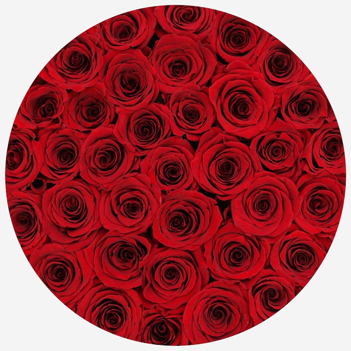 Supreme White Box | Red Roses