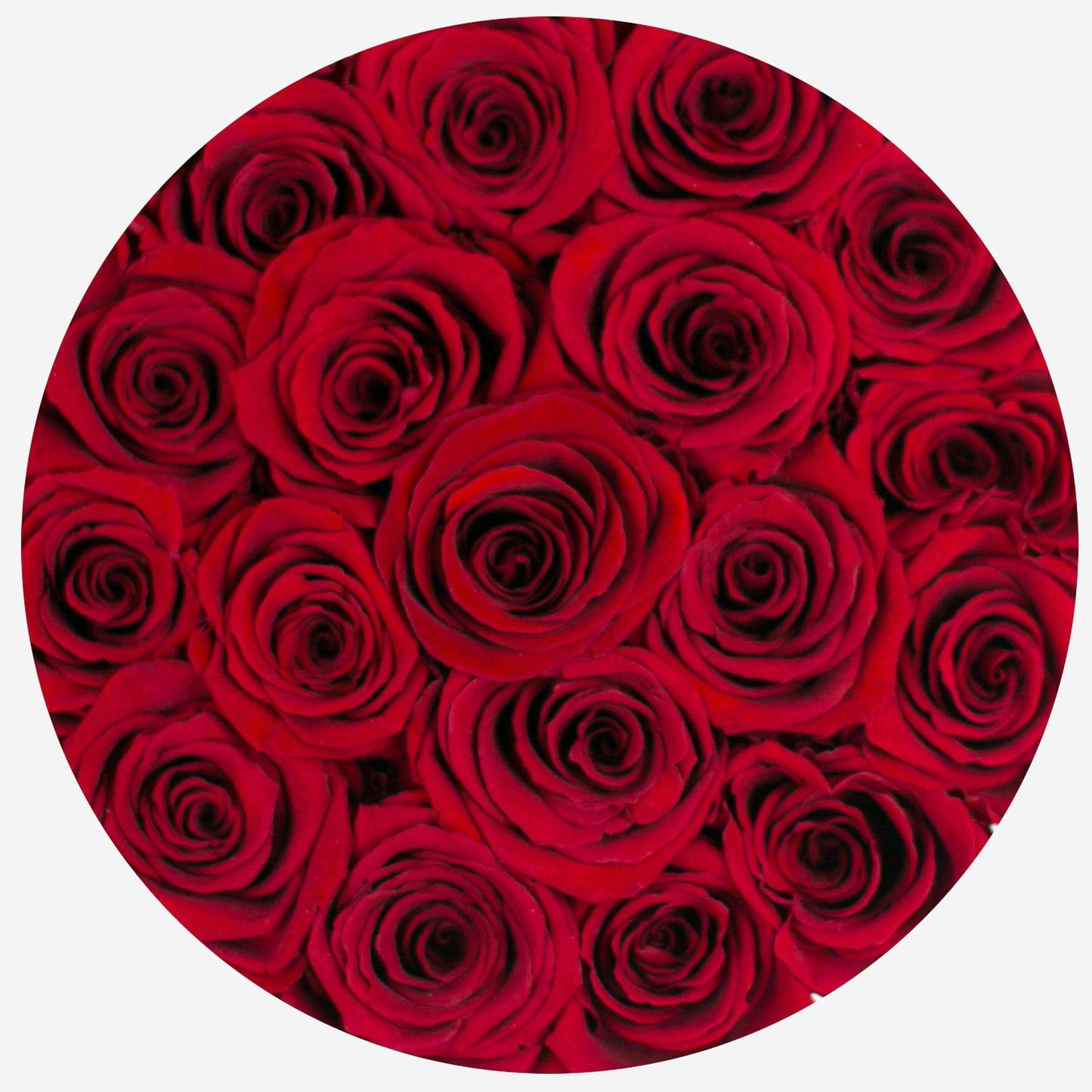 Classic White Box | Love Edition | Red Roses