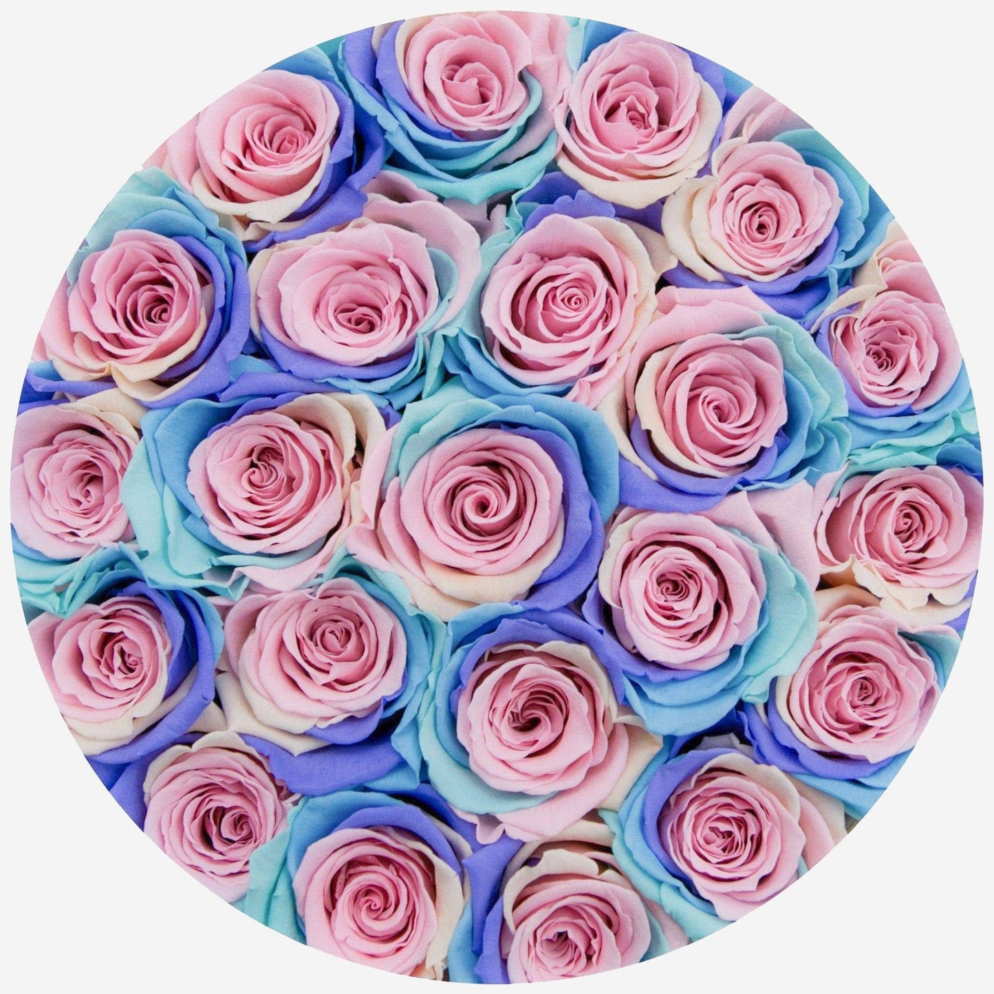 Caja Clásica Negra | Rosas Arcoíris Pastel