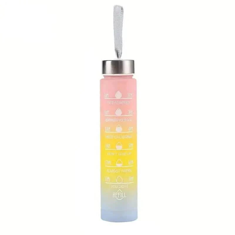 300ml Gradient Color Frosted Water Bottle With Straw
