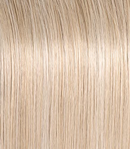 Raquel Welch Big Time Wig Hairpiece