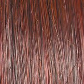 Raquel Welch On Your Game Wig Hairpiece New With Tags