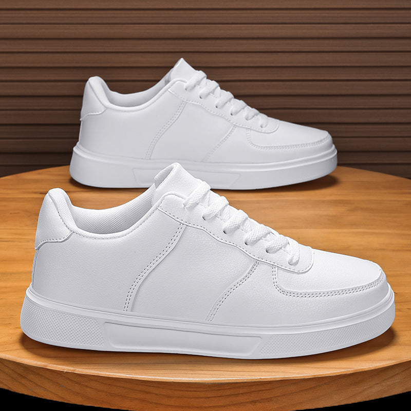 Men's and Casual Lace-Up Flats