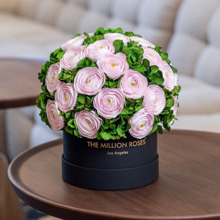 Caja Negra Clásica | Ranúnculos Persas Rosa Claro y Hortensias Verdes