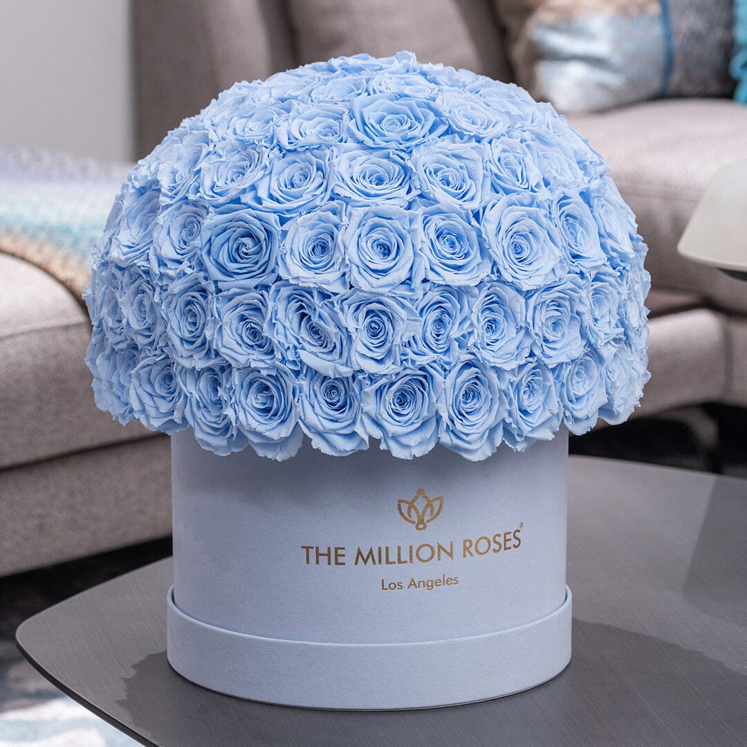 Gorro Supreme Suede Superdome azul claro | Rosas azul claro