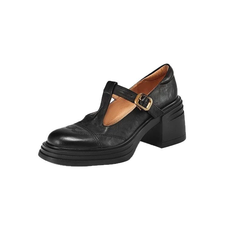 Women's Chunky Heel Platform Mary Jane Shoes