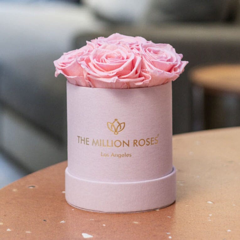 Caja de gamuza rosa claro básica | Rosas rosa claro