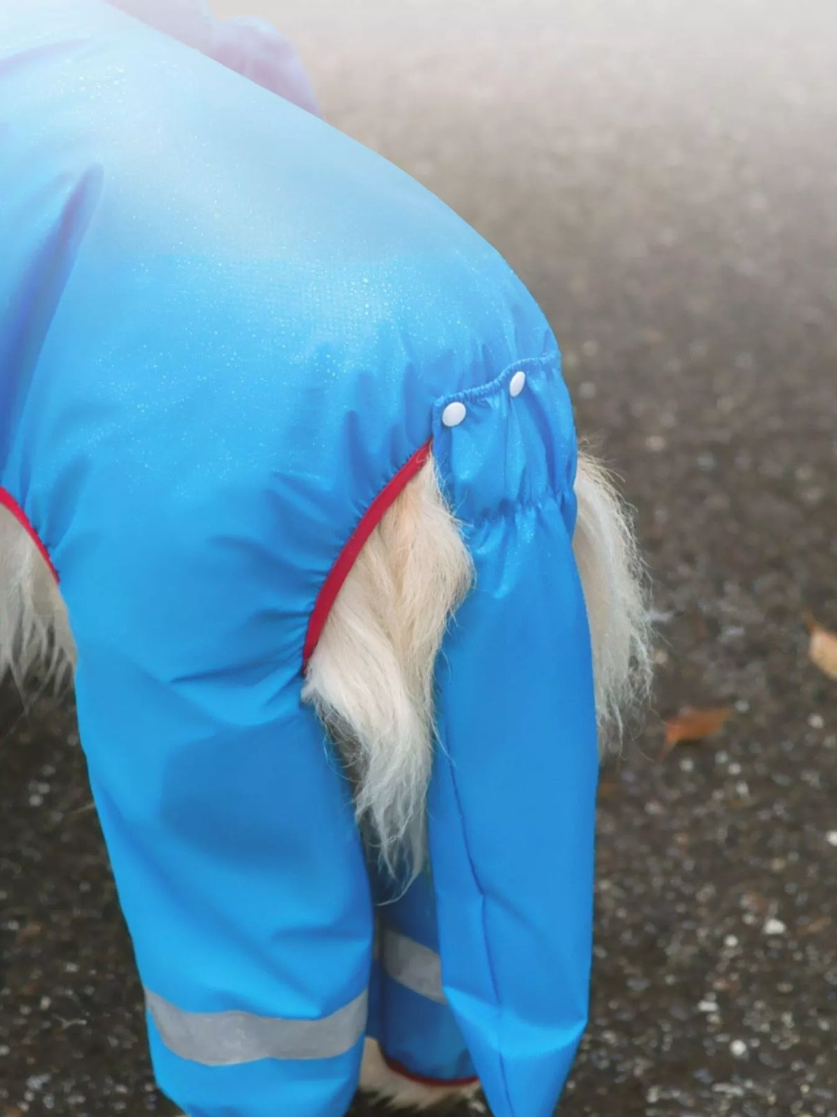 Dinosaur Style Waterproof Dog Raincoat with Hood