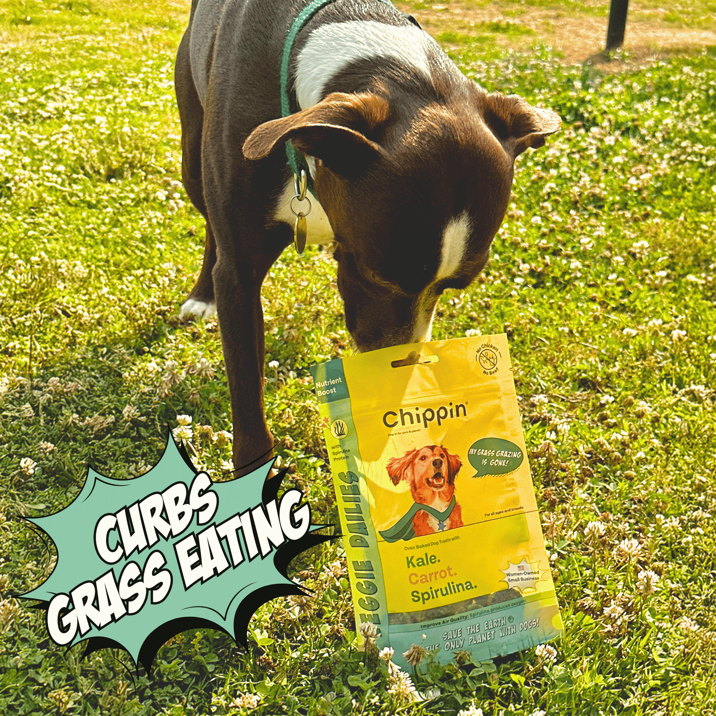Veggie Dailies con Espirulina, paquete de 4