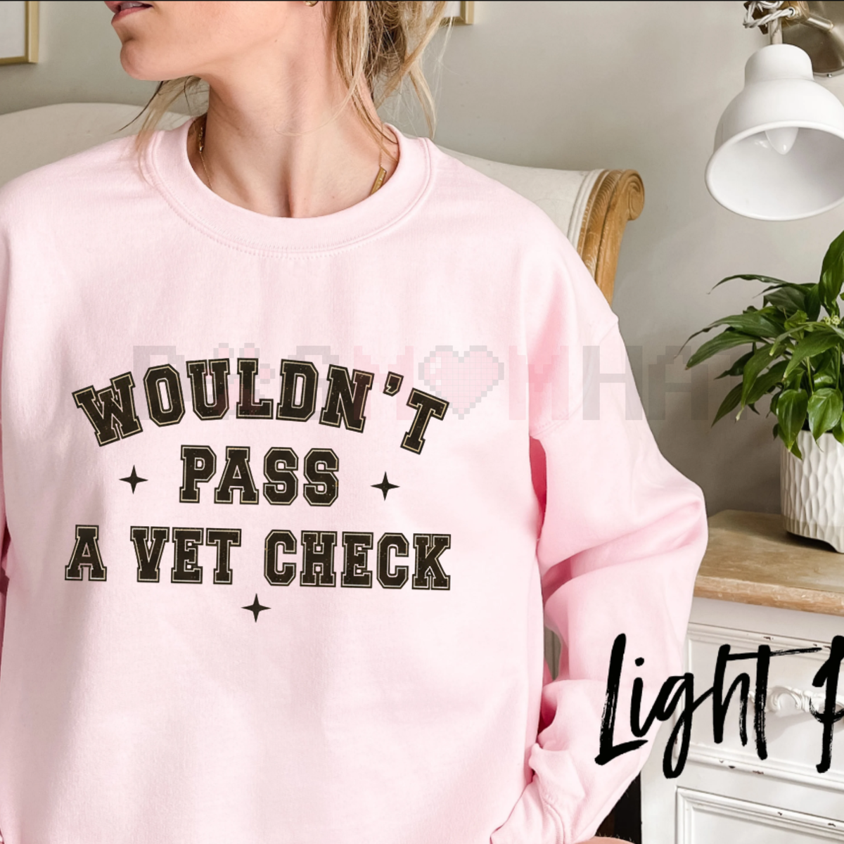"Wouldn't Pass A Vet Check" Sweatshirt