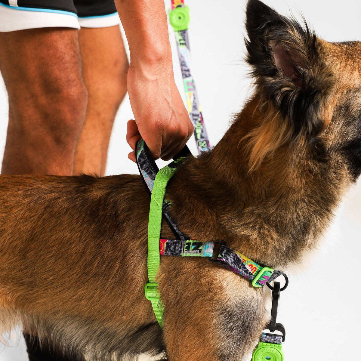 Manifesto | SofterWalk Harness