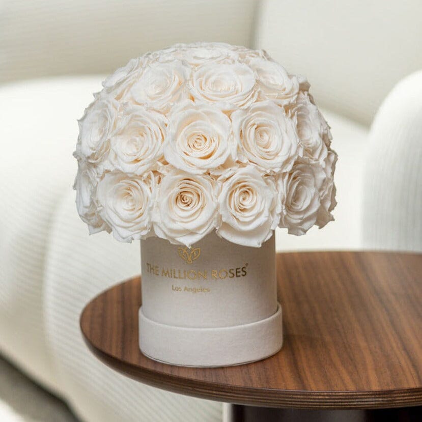 Caja Superdome de gamuza beige básica | Rosas blancas