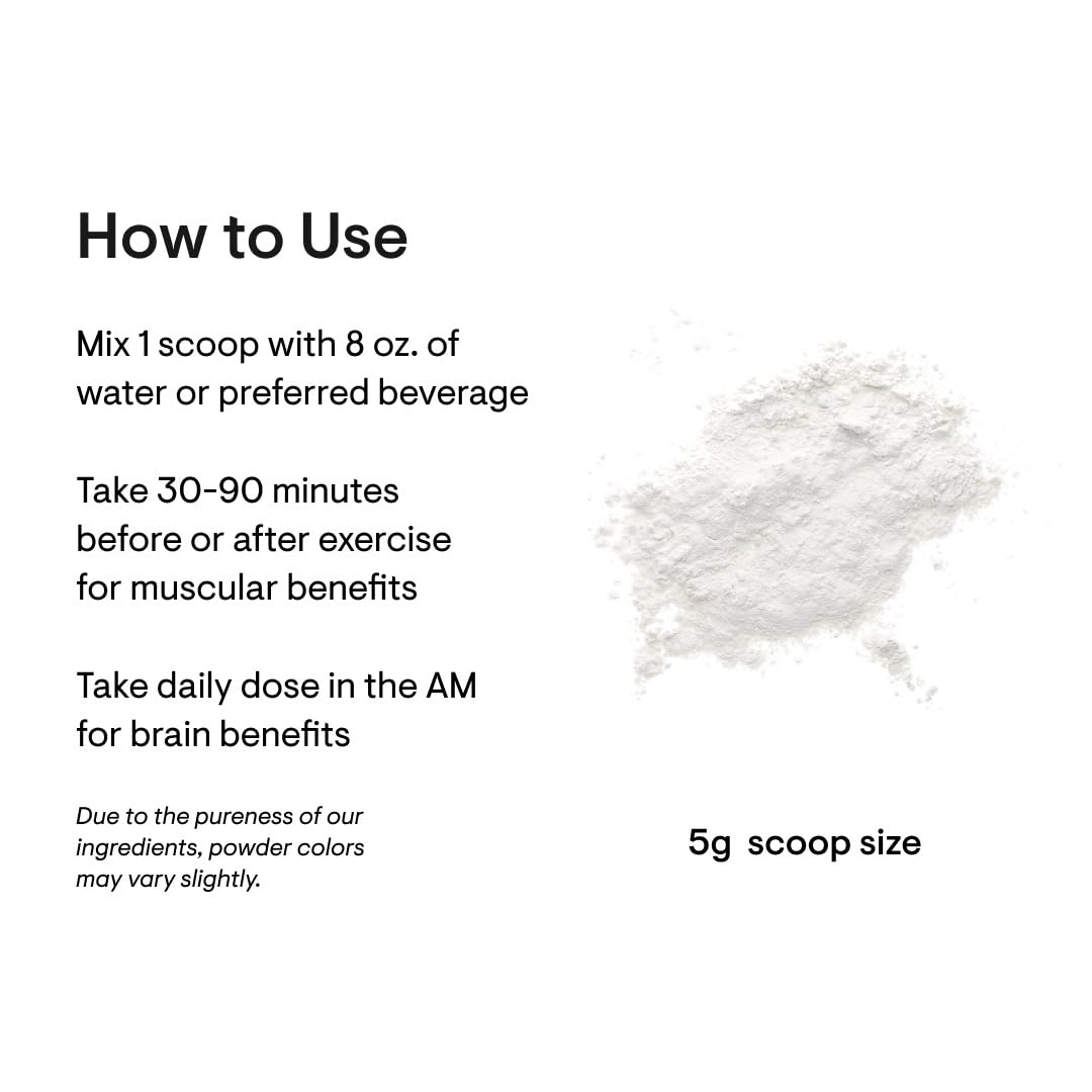 THORNE Creatine - Micronized Creatine Monohydrate Powder - Support for Muscles & Cognitive Function* - for Women & Men - Unflavored - NSF Certified for Sport