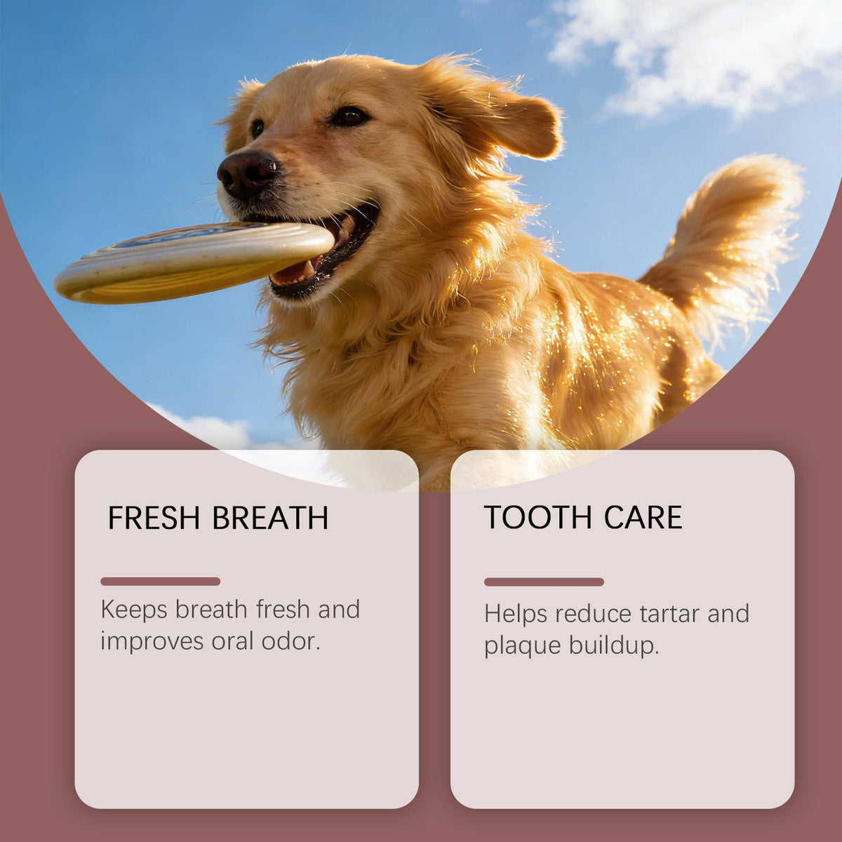 Pet Oral Spray, 30ml, Pet Oral Care, Oral Care Product for Daily Oral Care