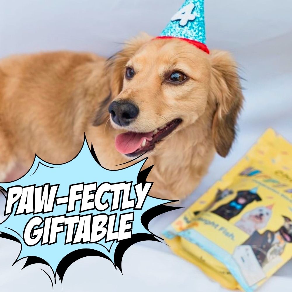 Golosinas de cumpleaños para perros, paquete de 4