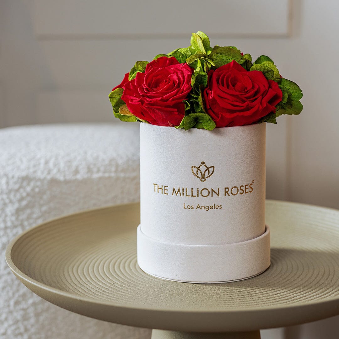 Caja de Jardín Básica de Gamuza Beige | Rosas Rojas