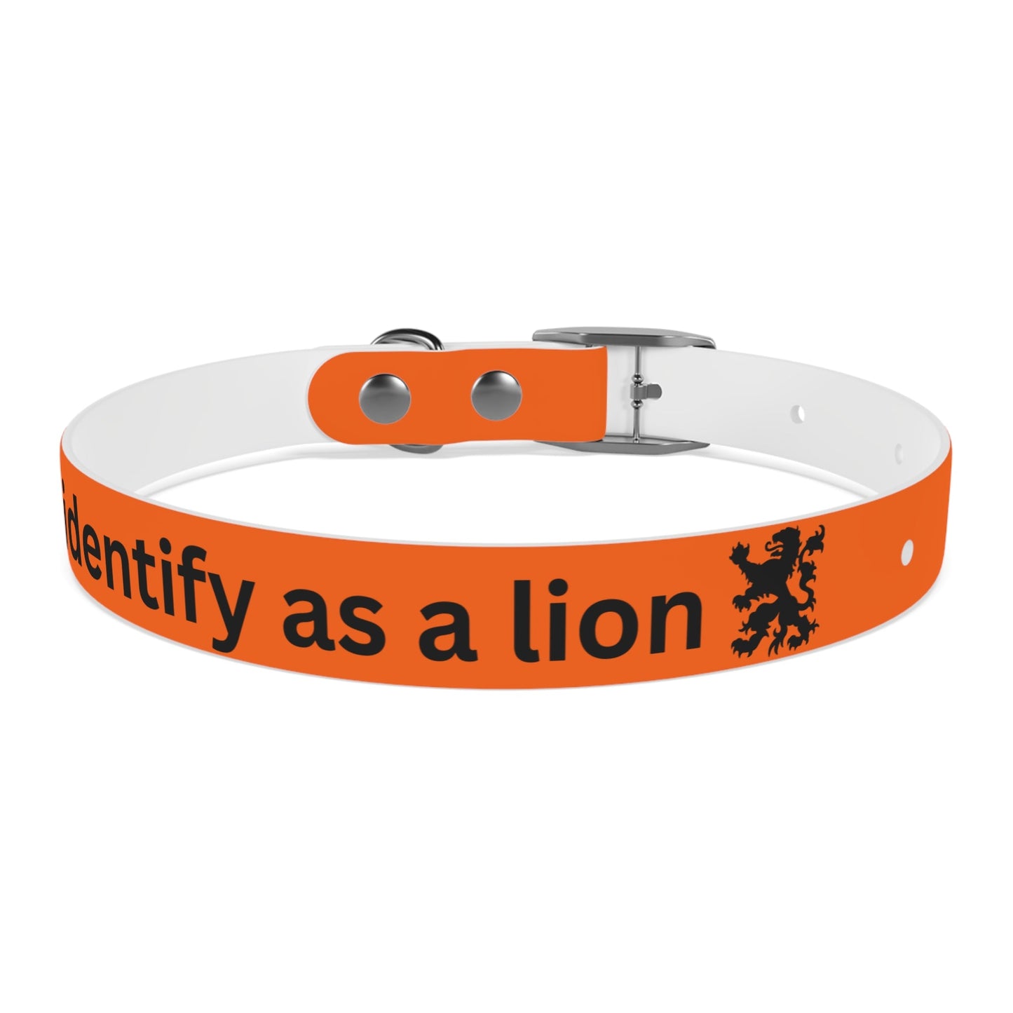 Dutch Dog Collar, I identify as a lion - Fun Pet Accessory, Dog Wear, Unique Gift for Dog Lovers, Pets Birthday Celebration, Lion Theme Collar