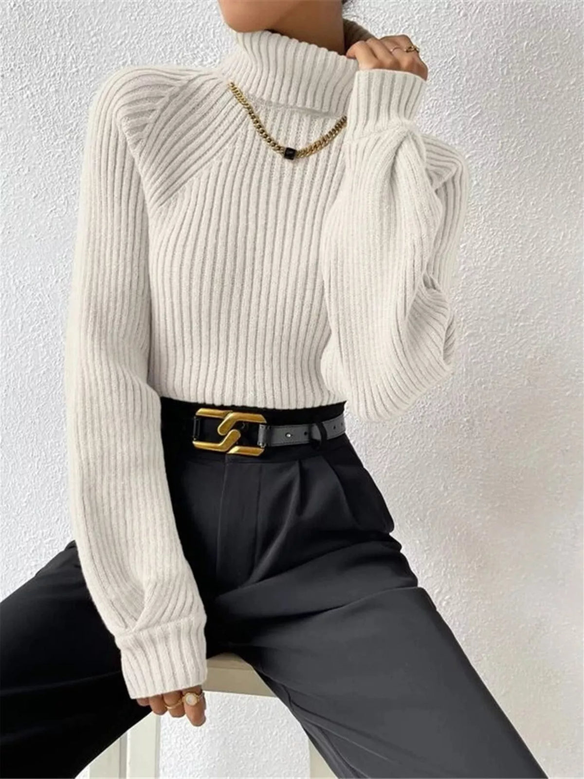 Ribbed Knit Turtleneck Sweater
