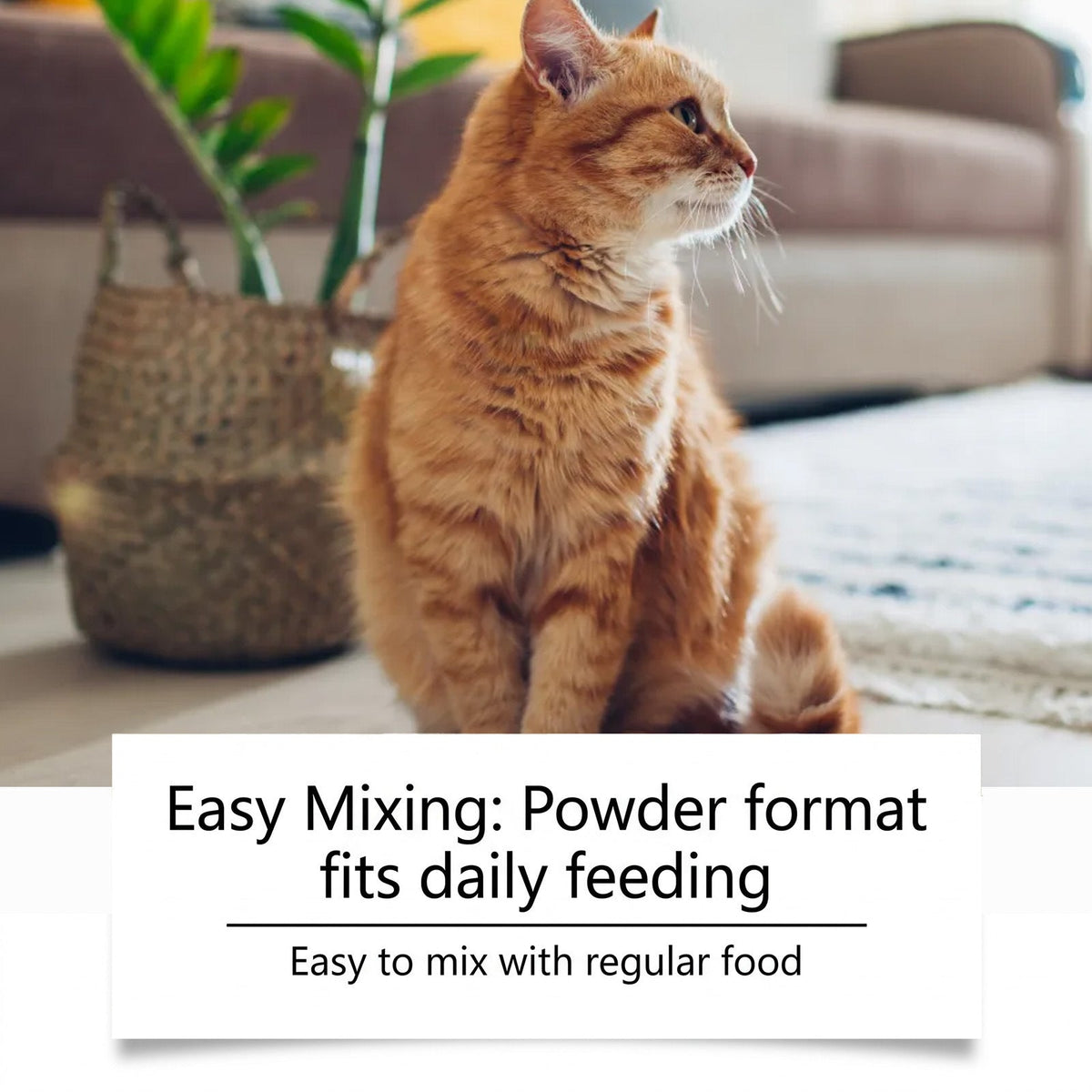 Kriath Cat Dental Care Nutrient Powder Freshens Cat's Oral Hygiene, Removes Pet Tartar, Convenient For Feeding