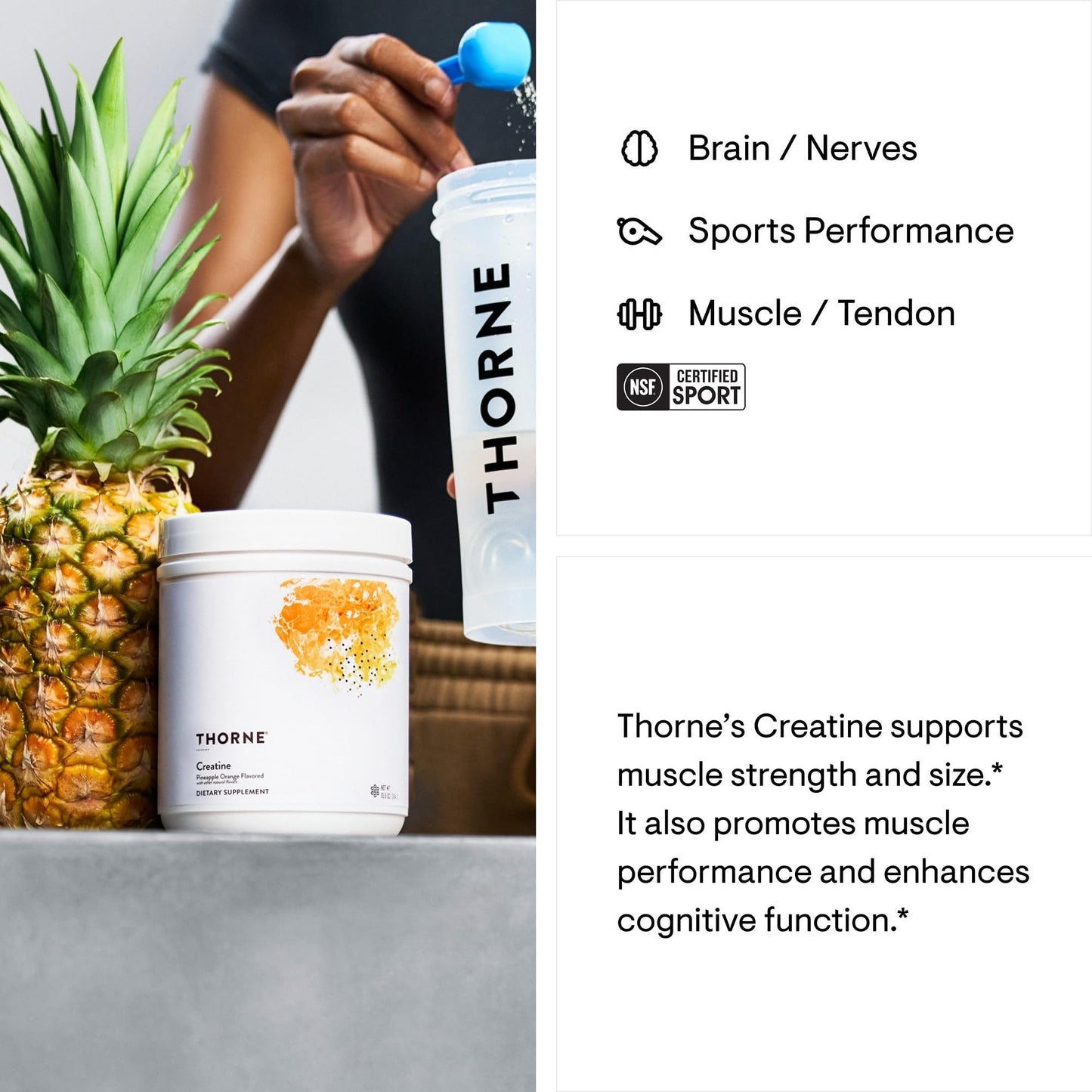 THORNE Creatine - Micronized Creatine Monohydrate Powder - Support for Muscles & Cognitive Function* - for Women & Men - Unflavored - NSF Certified for Sport